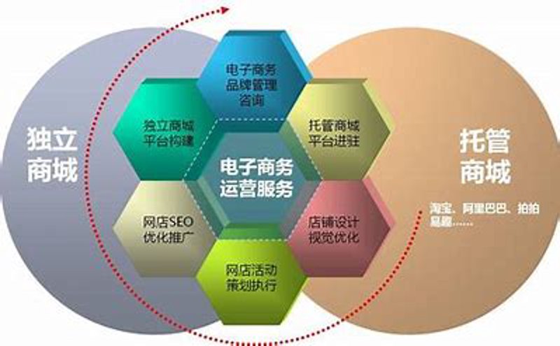 电商代运营：海口新兴的商业风向标